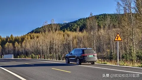 理想汽车的“滑铁卢元年”:背后原因早在我意料之中!